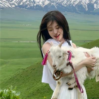 灵书妙探第七季